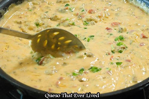 The Best Queso That Ever Lived