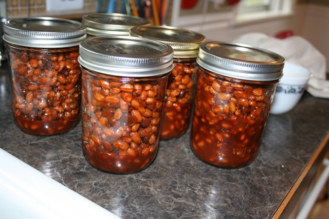 Renee’s BBQ Beans – Looking for a Bush’s Clone
