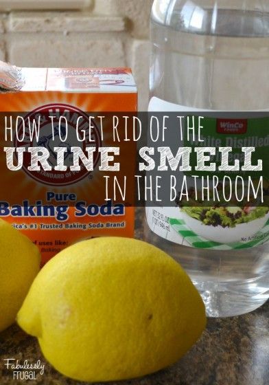 How to Eliminate the Urine Smell in the Bathroom