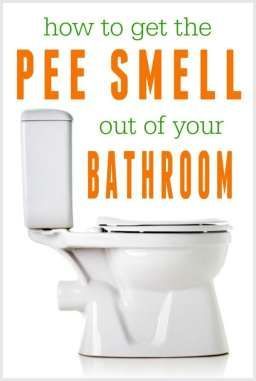 9 ways to get rid of the pee smell in the bathroom (UPDATED!)