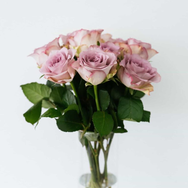 Bouquet Rose